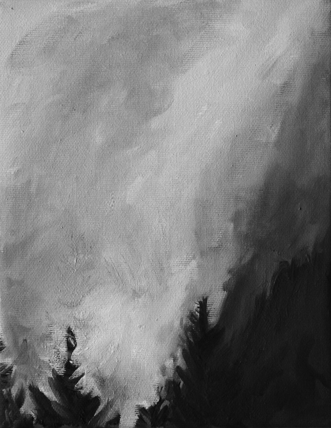 Wald im Nebel