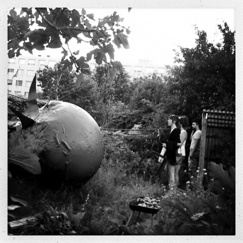 Tomate – 2012